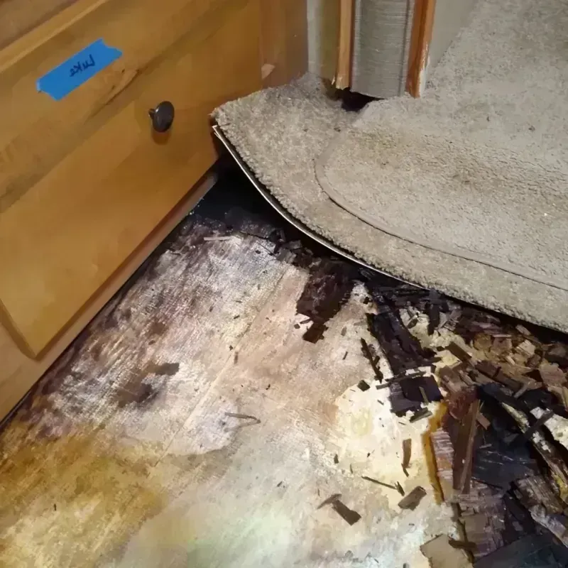 Best Wood Floor Water Damage Service in South Boston, VA